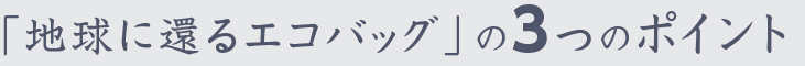 プルバッグエコ